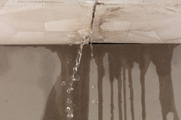 Professional Structural Drying technician working in Larchmont, NY